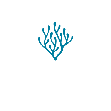 Logo-Sara-Brandao-Terapeuta-Blanco